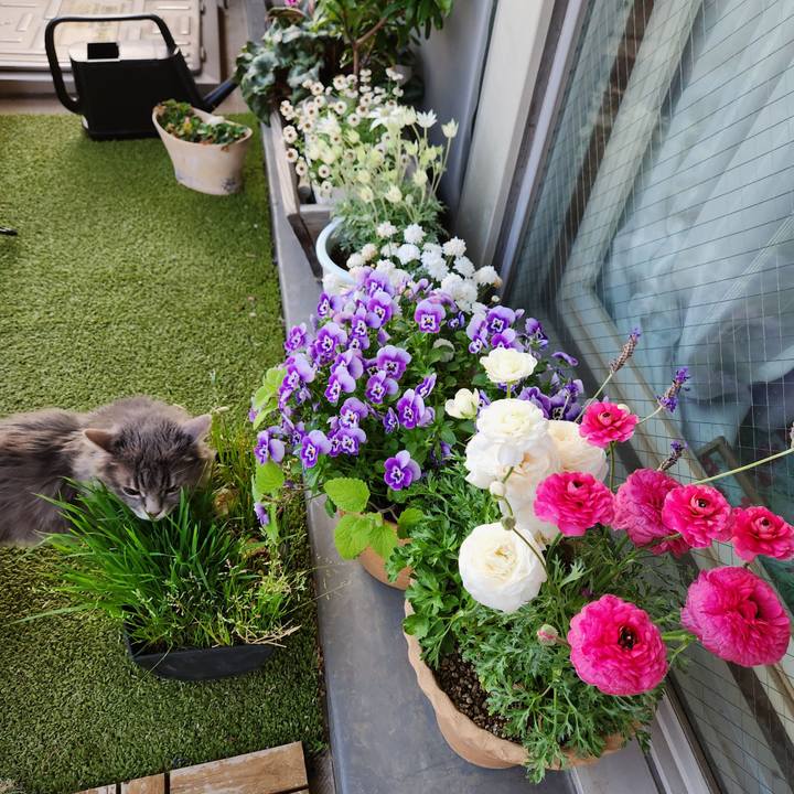 40ce2938 1eeb 4820 9a46 535e76379f16 1744980458191