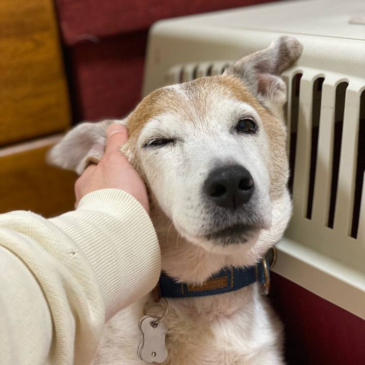 40ce2e47 b321 4cb8 b074 b0ac2e8a750a 1646484486827