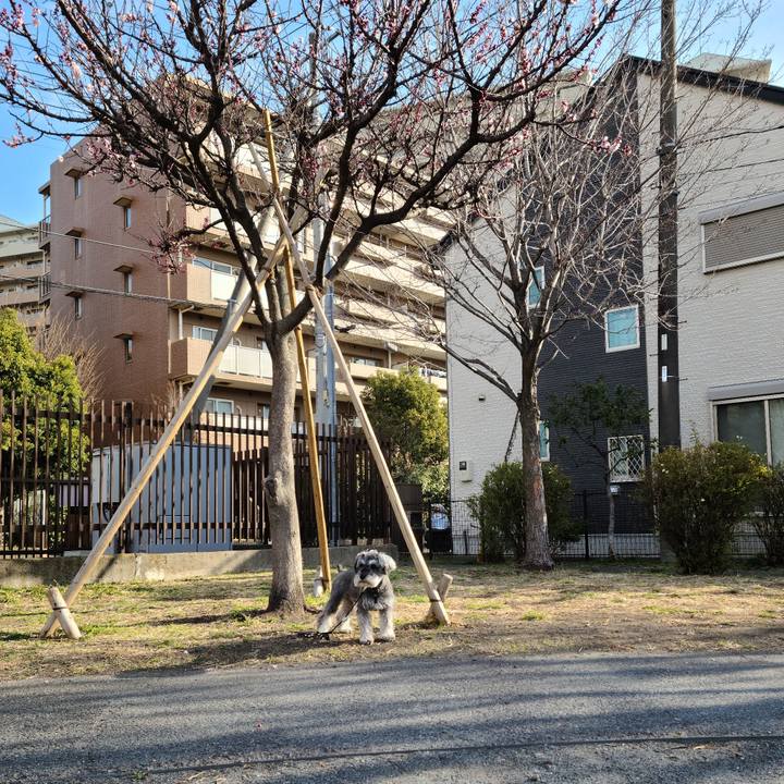 40ceea90 ff0f 4789 8e18 108d2782b33e 1614817055224