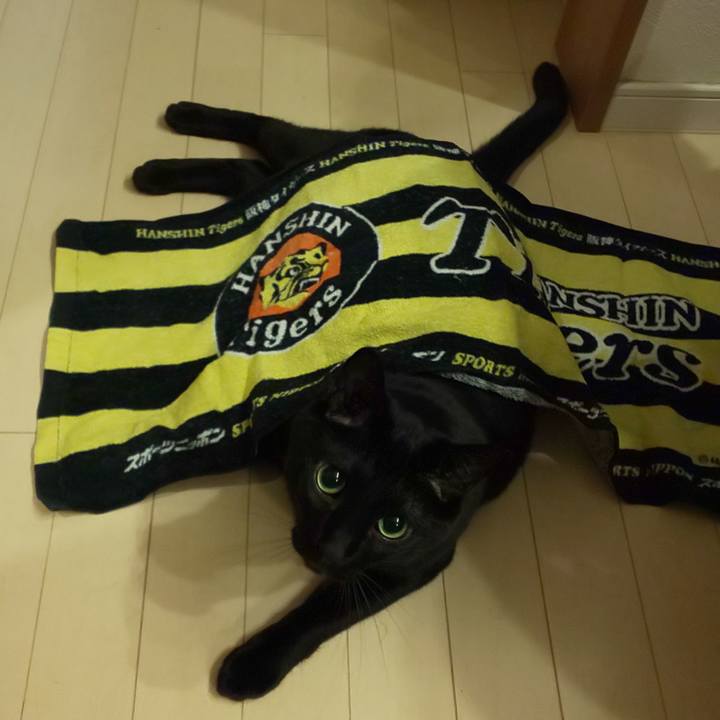 40cefe6c 2798 4802 ade2 2c35d1ced3ca 1694693387069