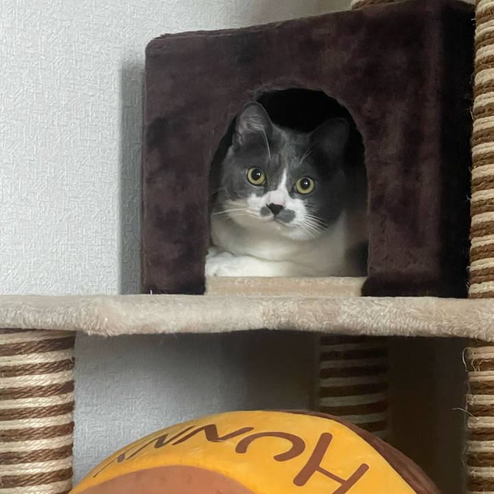 40cf357b 0373 4acb 8c41 19a76cbe2304 1692858669706