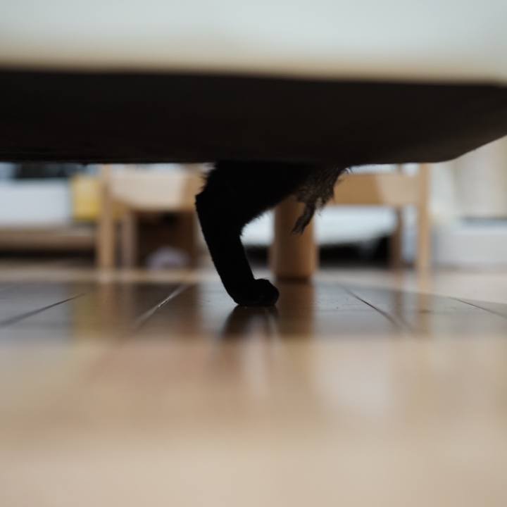 40cf7b6b a0bb 44b6 874d 3567866b3864 1557790297980