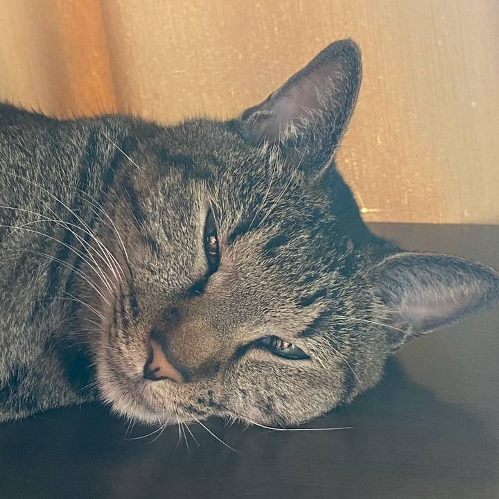 40cf83b5 bd8c 4549 933e 8b7f9da97196 1764075425981