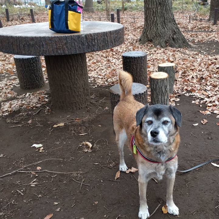 40cf8b28 c51e 4f5c 969c 61747ad4720a 1545782734960