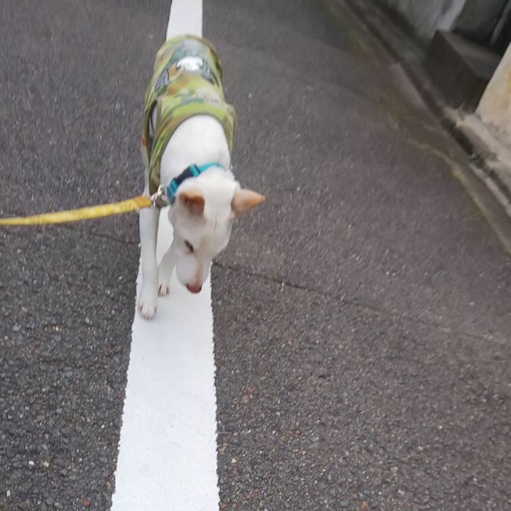 40cf9328 c53d 444c bc3f 94c64a0f2540 1540249835350