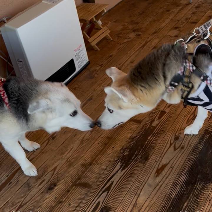 40cf9714 6a18 4223 be1e d97c2fc99fde 1762593185877