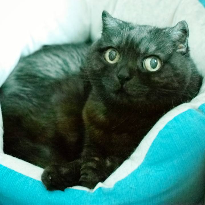 40cfb307 e582 4691 8c31 523c940aba2f 1621008637671