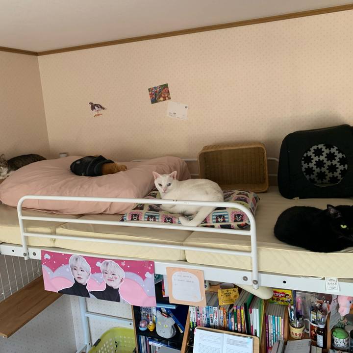 40cfba34 2e17 454c b85a ea3ed1de7ad1 1624092301493