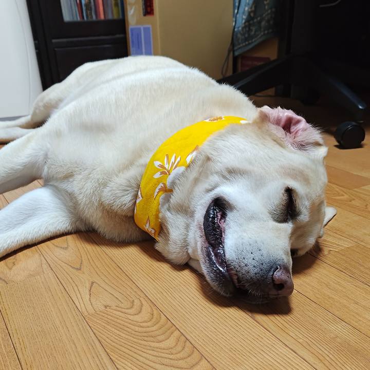 40cffdb3 e5aa 4145 8560 d5fadf8174f1 1753789608152