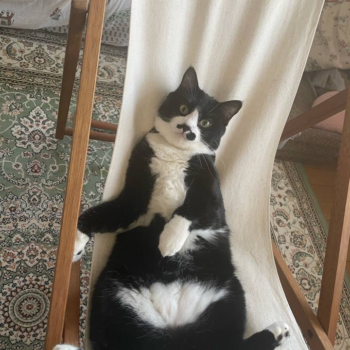 40d0010b 3103 429c b971 e25ba9b1ed51 1691029588435