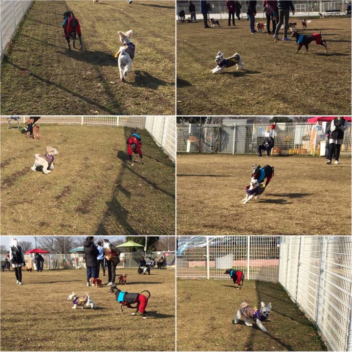 40d0062e 5ac4 47ab b0f2 42637853b707 1516513987155