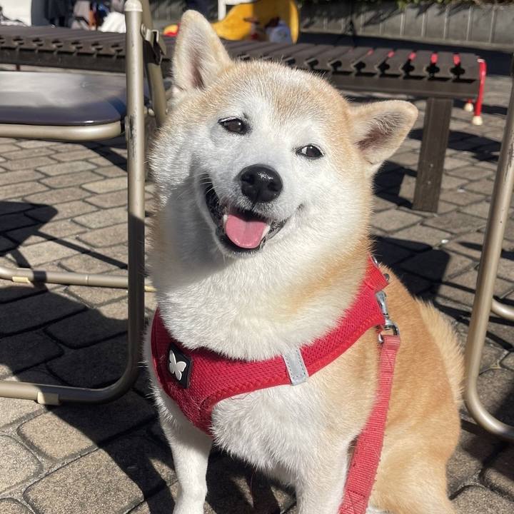 40d01665 0f9a 4c4c b224 25e27f60205b 1737585289147