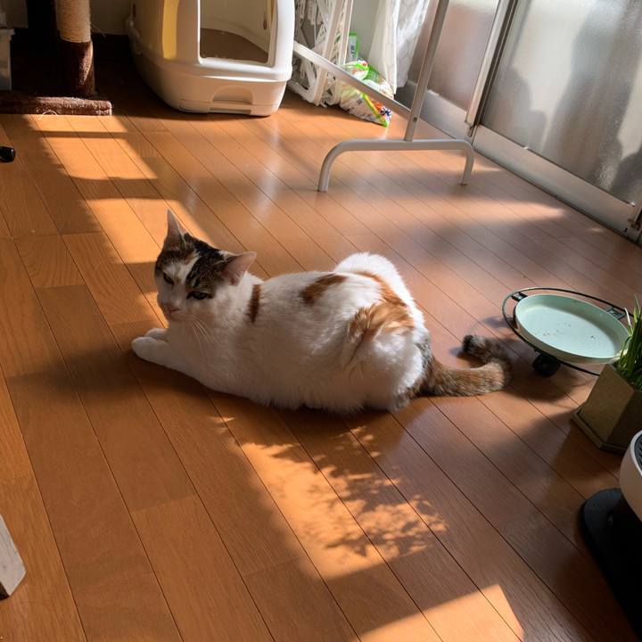 40d01b57 0378 424f 9075 2caf35f9d4dd 1645926010394