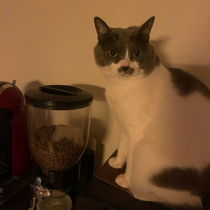 40d0288f 7eea 4009 a2ae 13190d327ded 1736118551516