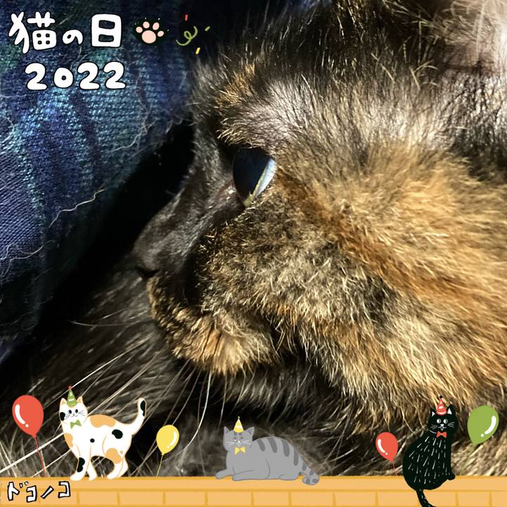 40d03437 dc7d 468a 8180 9fc32ba7b5d9 1645499712449