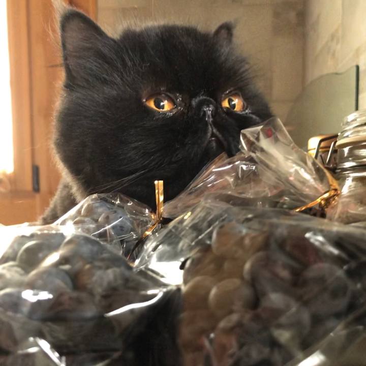 40d03dbd 4d64 4c8e abb9 11cbab09dea1 1595550768797