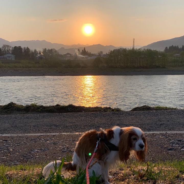 40d040a9 813e 415c 8706 f5117071cc26 1587763315408