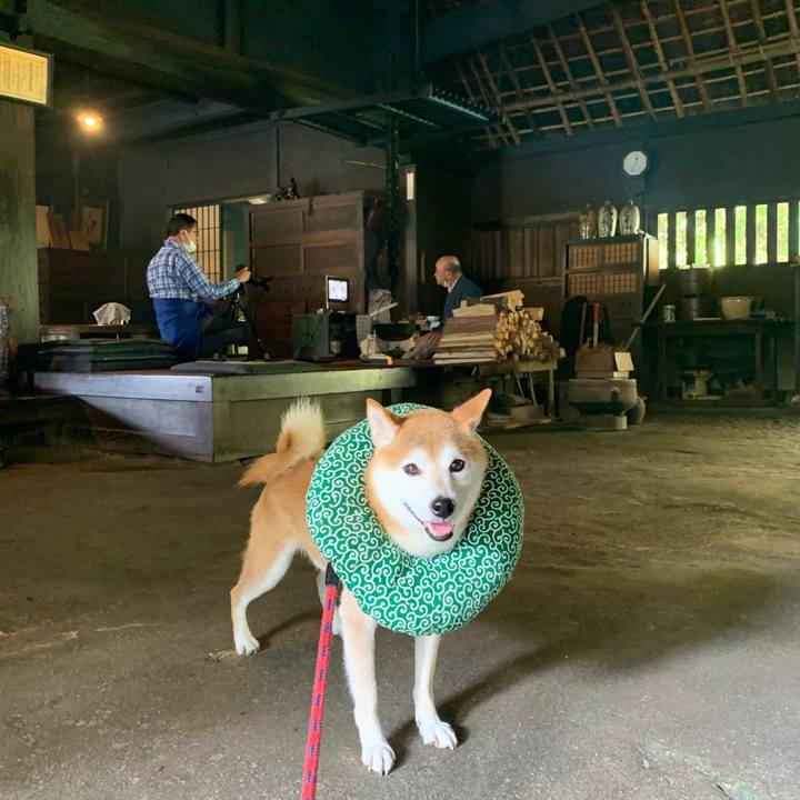 40d04188 728e 4a1c a3df 9e376b4effef 1634374015175