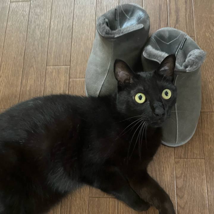 40d0482b 4874 46b8 8fc5 f5b20162c7c4 1686097927578