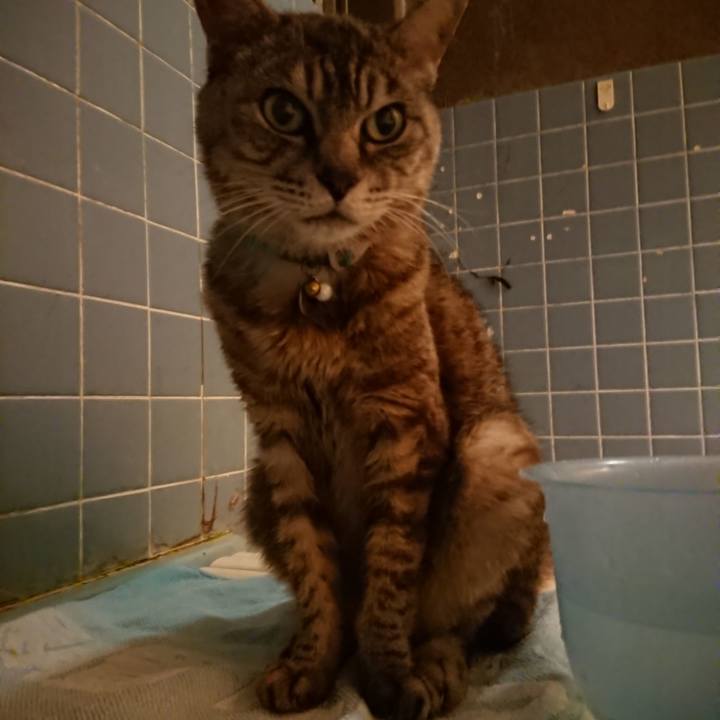 40d04b4b 57f7 4553 b6a5 3a361fd65369 1568111761178