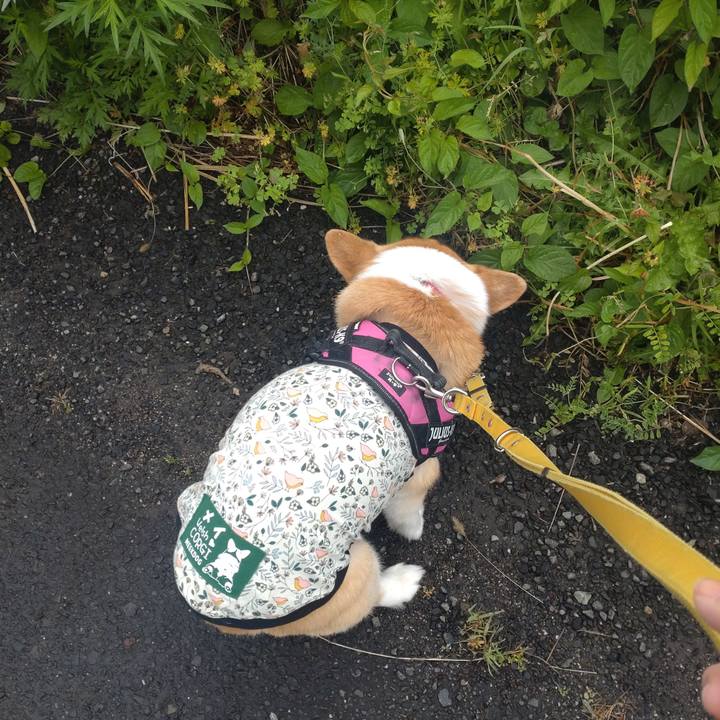 40d0b128 d643 477c b479 eb3851f8b4d8 1715829342699