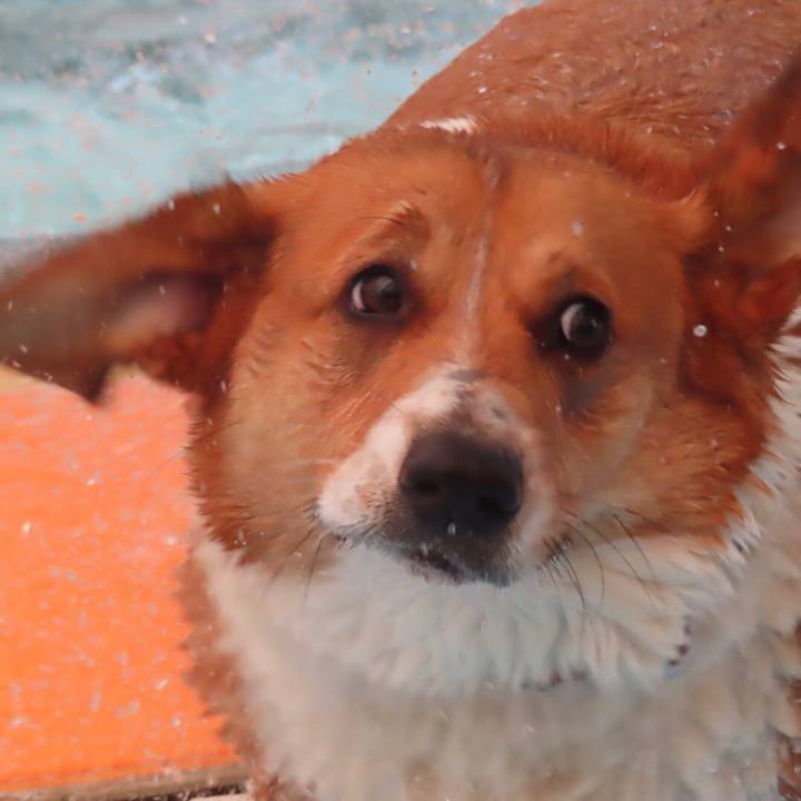 40d0be4d 0db1 4e27 b221 fbfdb068cfc2 1652307835698