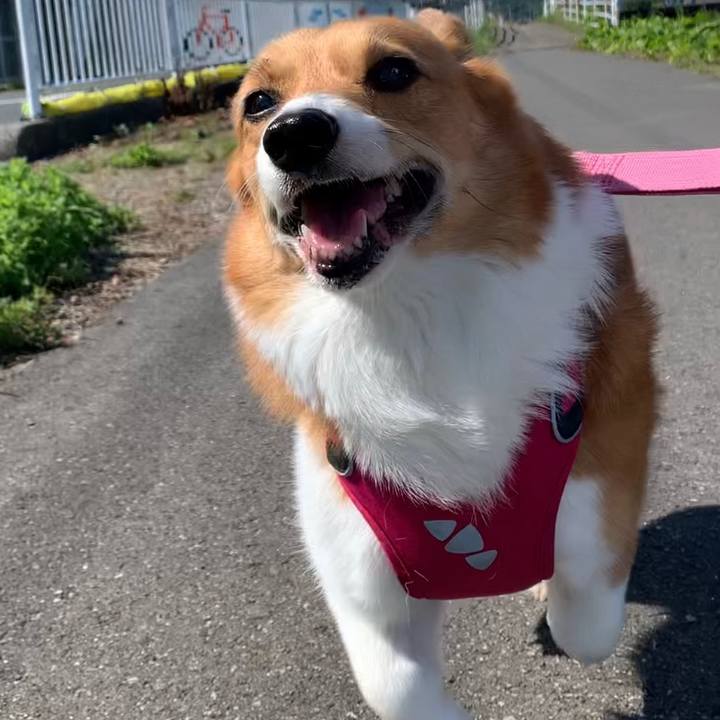 40d0cc74 7503 4bff 82da aa3666f82125 1685837770657