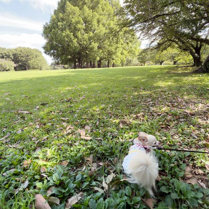 40d0e256 3991 4dc4 9694 ae307b674dde 1752985329718