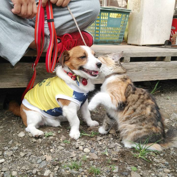 40d0ed6a 6df1 44b4 8bbc 776fcbbb8b24 1532604854767