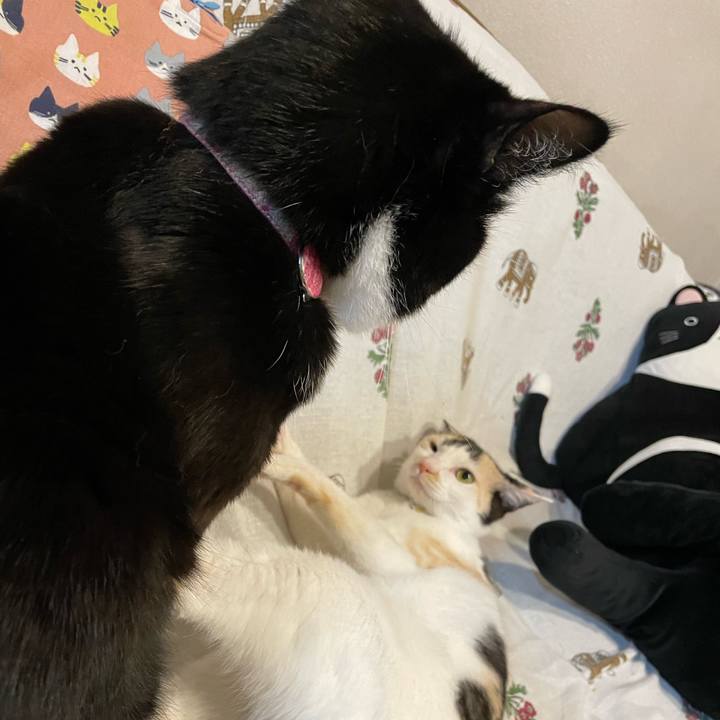 40d10196 55e1 432c 8165 b2064b952be7 1677575934568