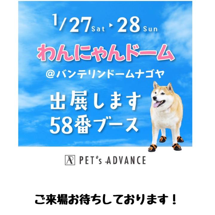 40d17149 a20d 47d5 a4ce 1f562ce86f0e 1706326233086