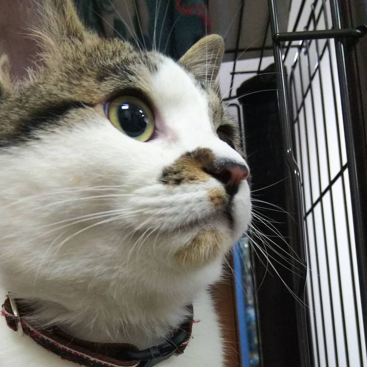 40d18385 2ef9 46e7 9a16 1d2ae1cc4ada 1618491323608