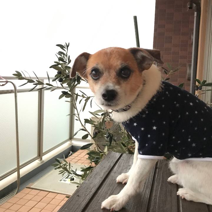 40d19935 9148 4b3b ad71 f6210c989dd7 1576621238730