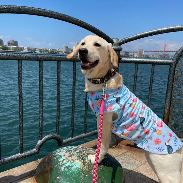 40d19d96 0e95 404f 995b cced3db07c61 1621658621656