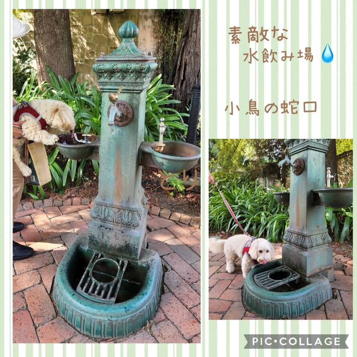 40d1b0e1 1fcc 45db a144 18dce084630c 1697260505890