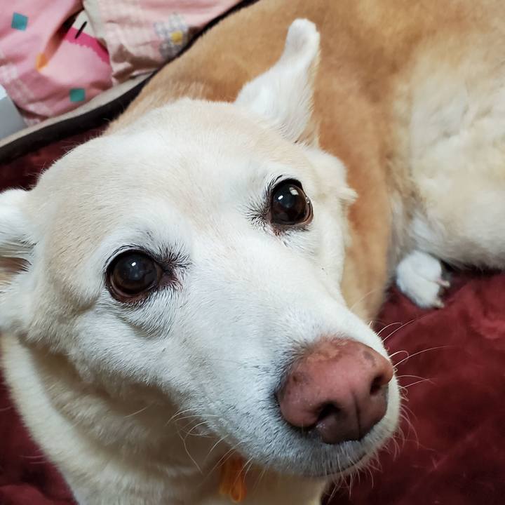 40d1bb8c ad6a 4b9c aa9d 9a4de1491e1a 1627977915479