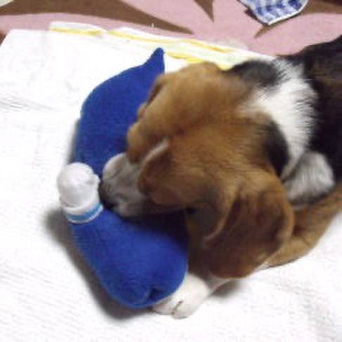 40d1cb91 7700 4ea8 9275 2ce3204dc26e 1716335679876