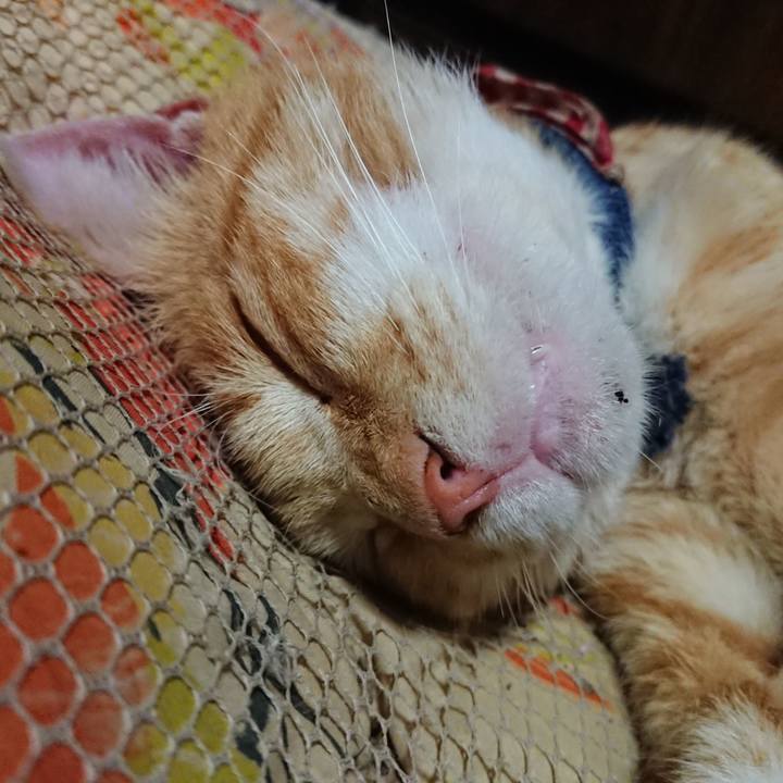 40d1d208 b71f 44da 9a2b fdd2c4fd9f0b 1560863163394