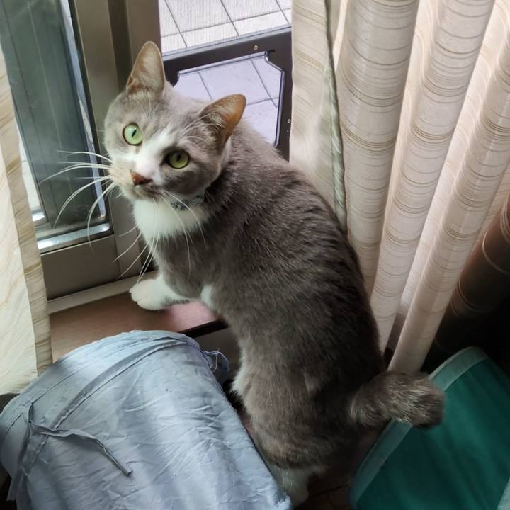 40d1d38a 4fdd 4a9a a9b3 1cf0dafbf7b9 1764643659381