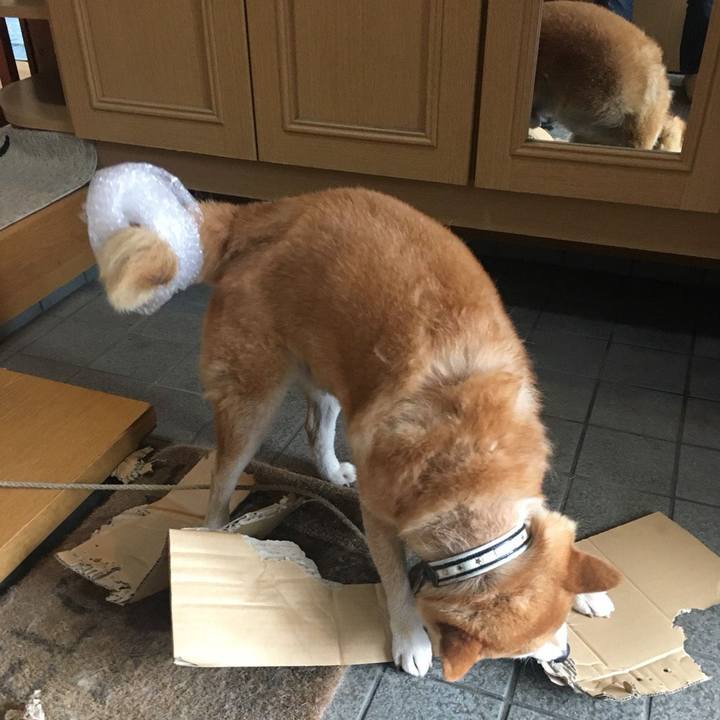 40d1eadc 4712 40cb b873 7e932a01d8c7 1531023118515