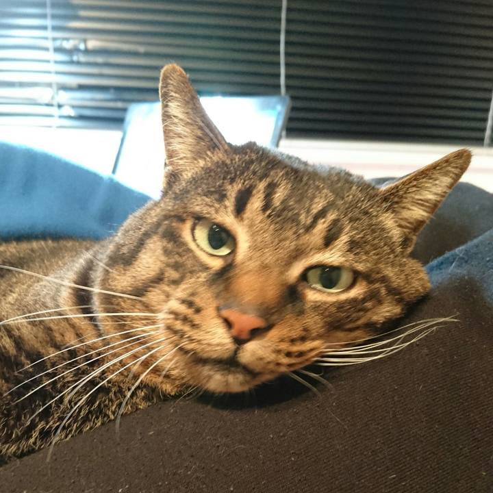 40d21aa7 afee 4ffb a573 61747cd4c7ce 1512220603252