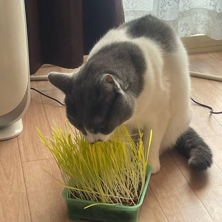 40d264e9 6248 49ba 89f8 a9dc9dd7d8ec 1703721257144