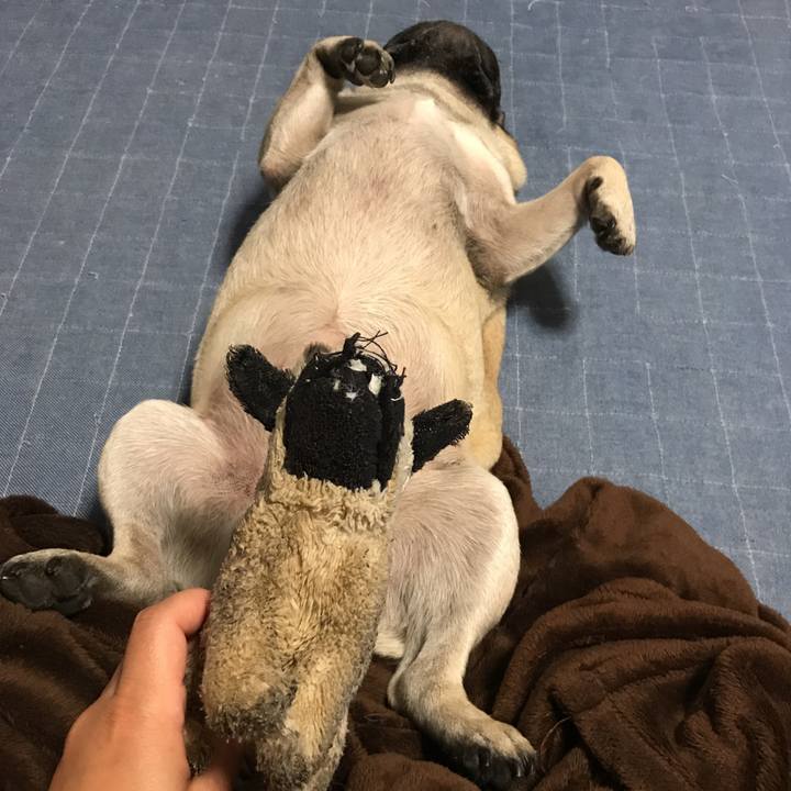 40d28b4b b3ad 4ab3 a122 b913eca1fef0 1534683600502