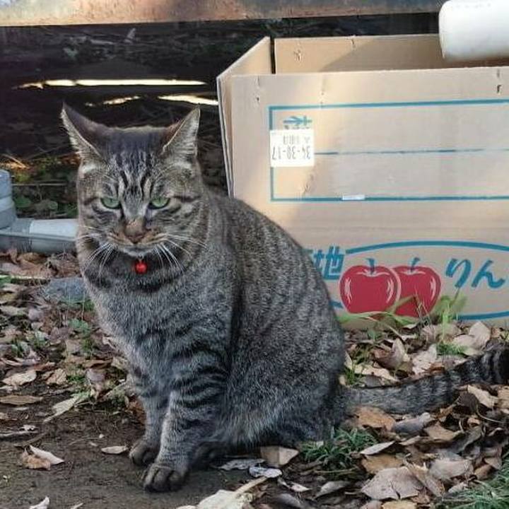 40d2c823 5fd8 49b7 b5de f41f635ed410 1511760685382