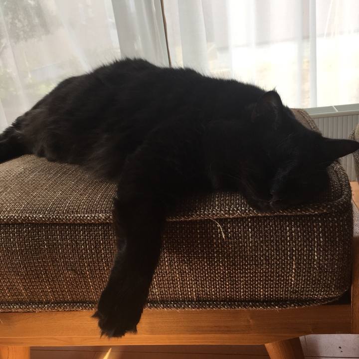 40d334cb 7fb4 4772 be8d 6b88439affaf 1531092201960