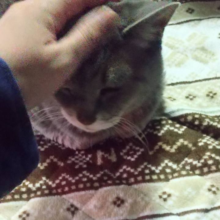 40d33d82 9d86 41c4 9002 999f2cf4536c 1670540936196