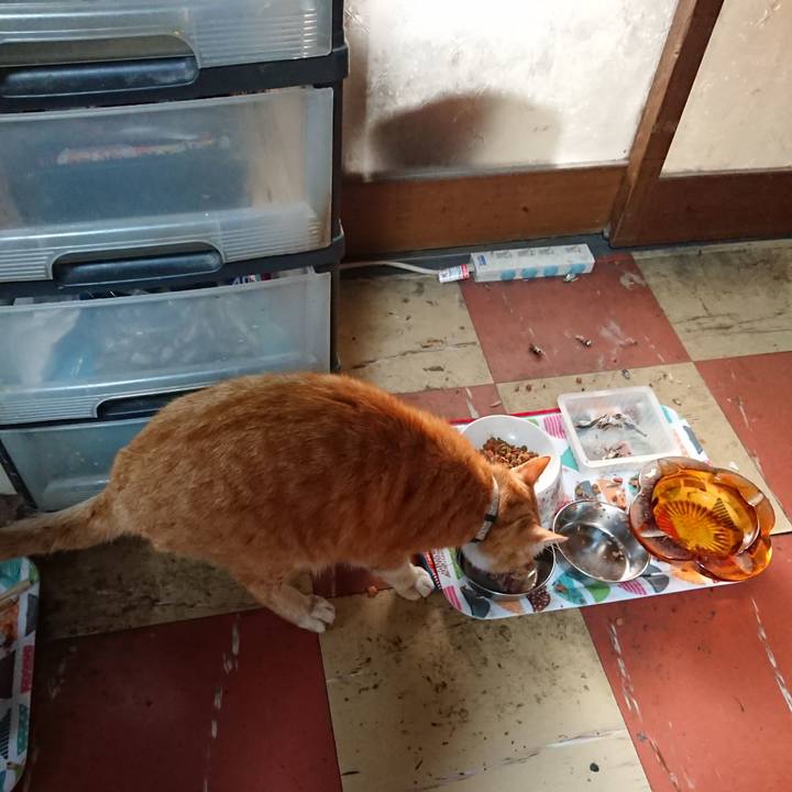 40d35ed5 79a8 41ea 9562 7b1a783b6d20 1590181247205