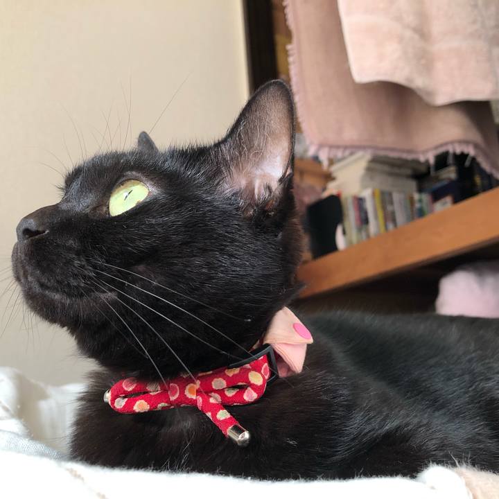 40d375e8 be58 4ed4 8ff3 a453176fa48c 1627776258862