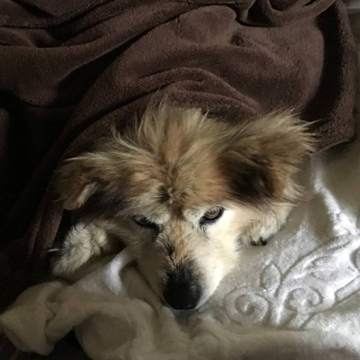 40d3c0ce 021c 4120 93ab dd15627426dd 1597665609185