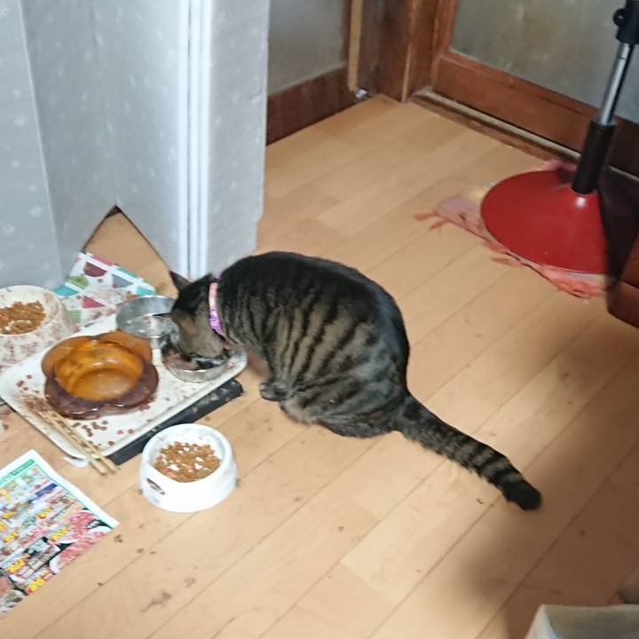 40d3eb72 fa95 454e bc9d 8b636698a1f4 1648096481629